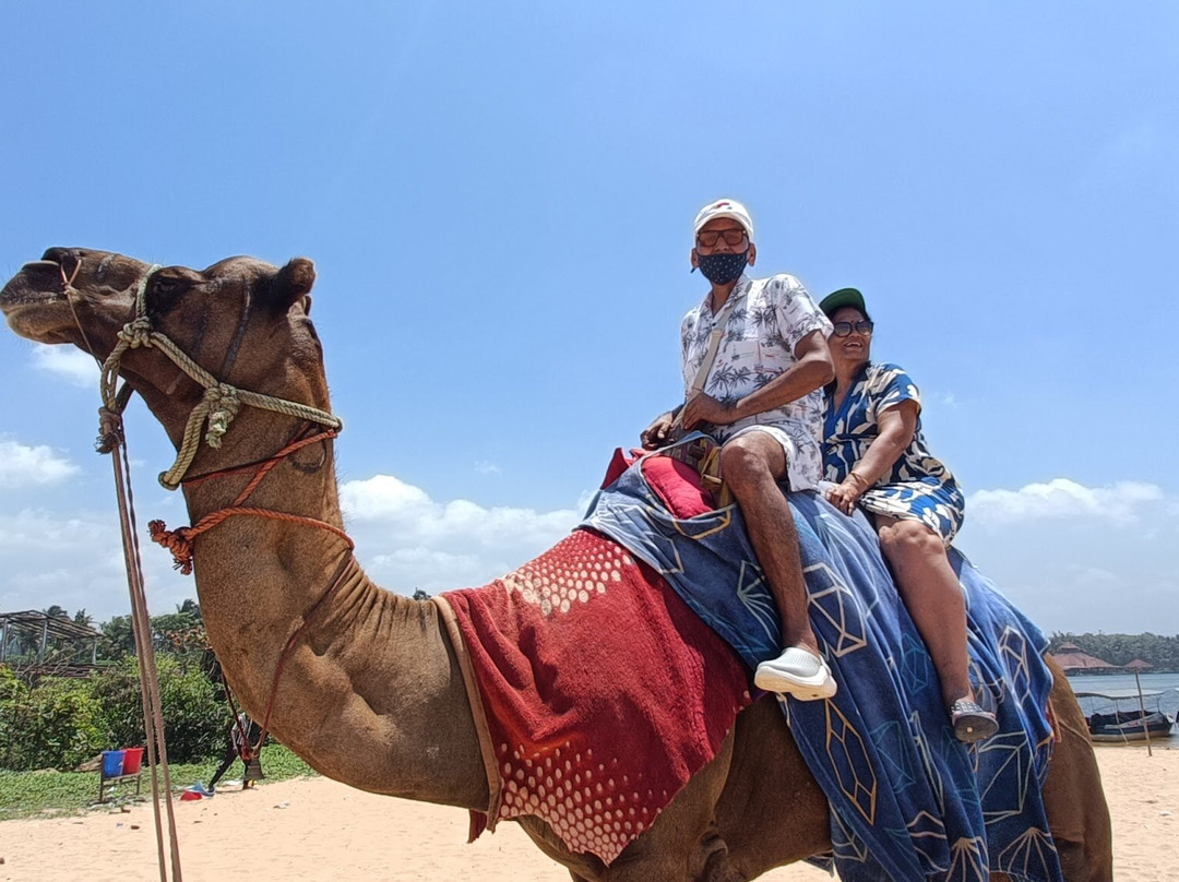 Golden Sand Beach-Poovar必去景点