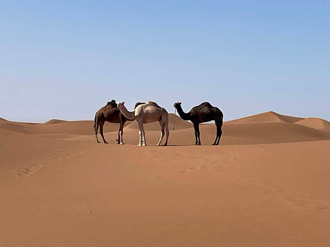 Sahara Soul Treks-扎古拉必去景点