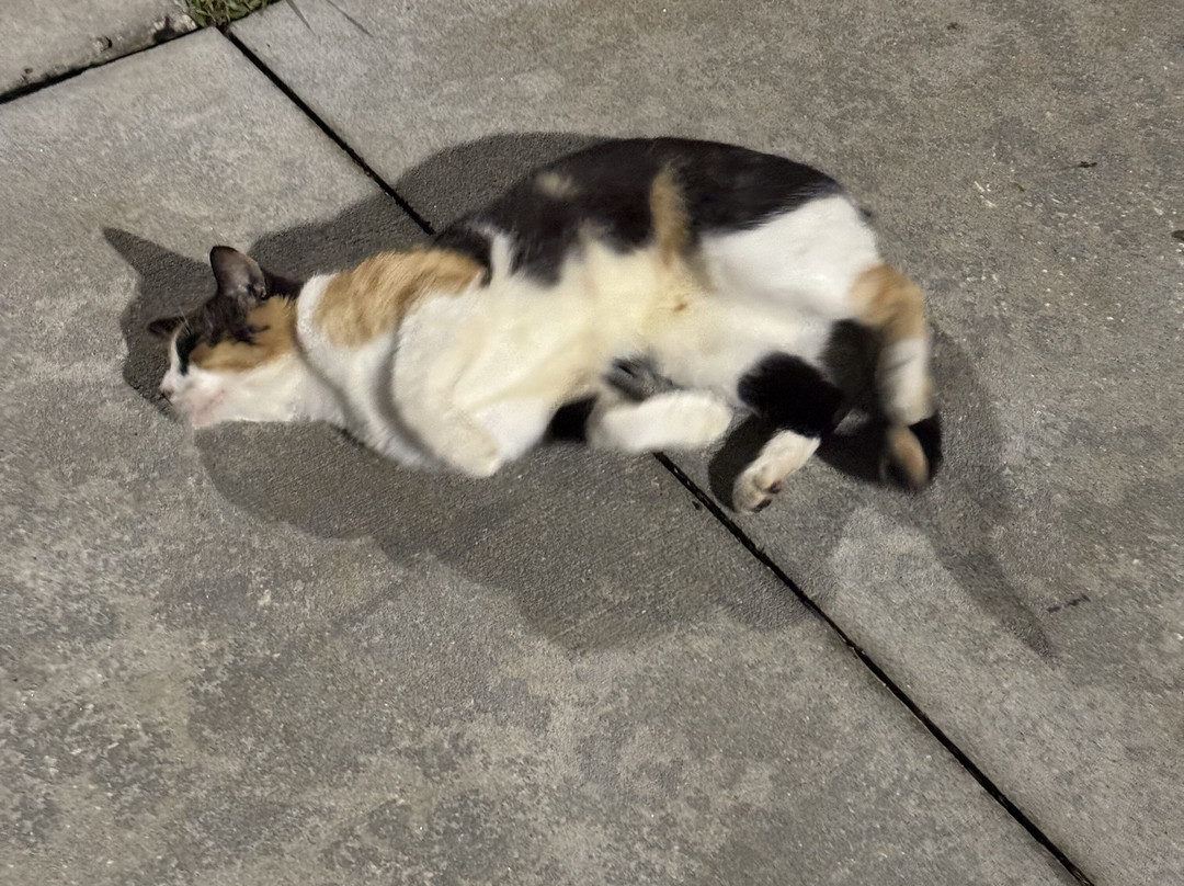 Hyatt Place Titusville / Kennedy Space Center主图