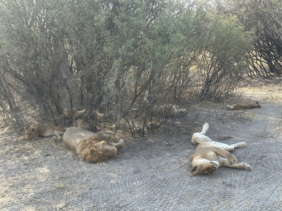 Shipungo Safari & Tours-马翁必去景点