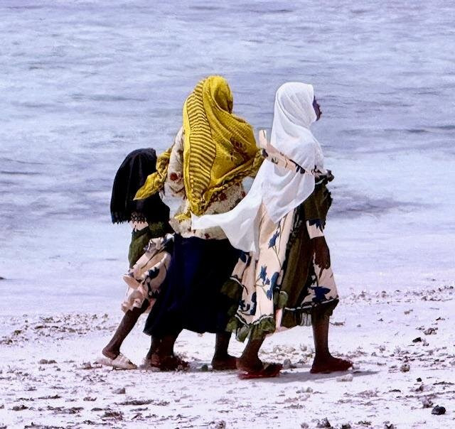 Bateleur Eagle Safaris-内罗毕必去景点