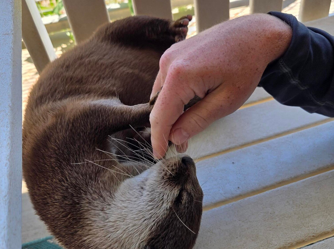 Blue Hills Ranch-McGregor必去景点