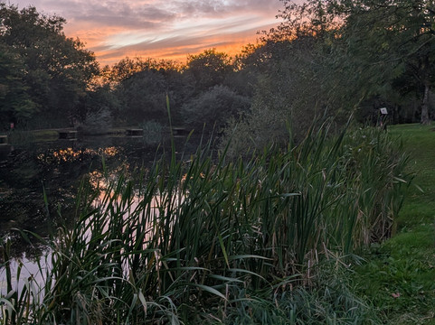 Hengar Manor Country Park主图