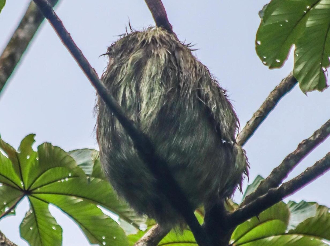 Guanacaste Airport Shuttle Costa Rica-利比里亚必去景点