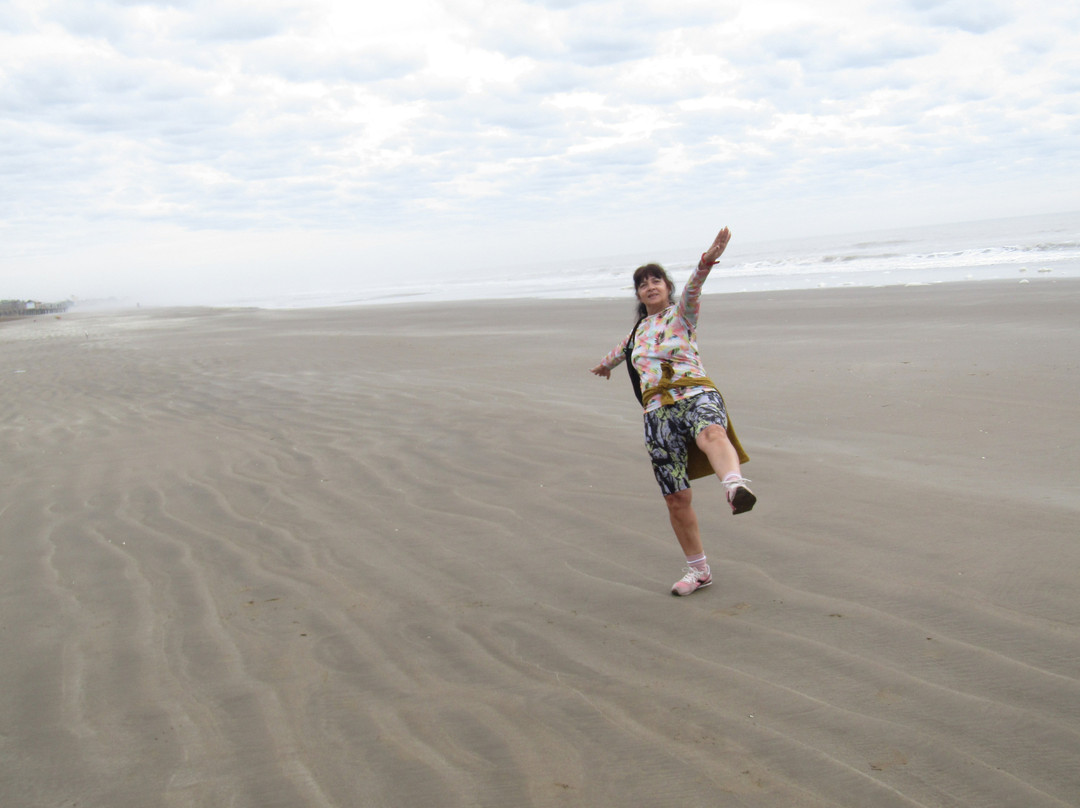 Playa De Santa Teresita-Santa Teresita必去景点