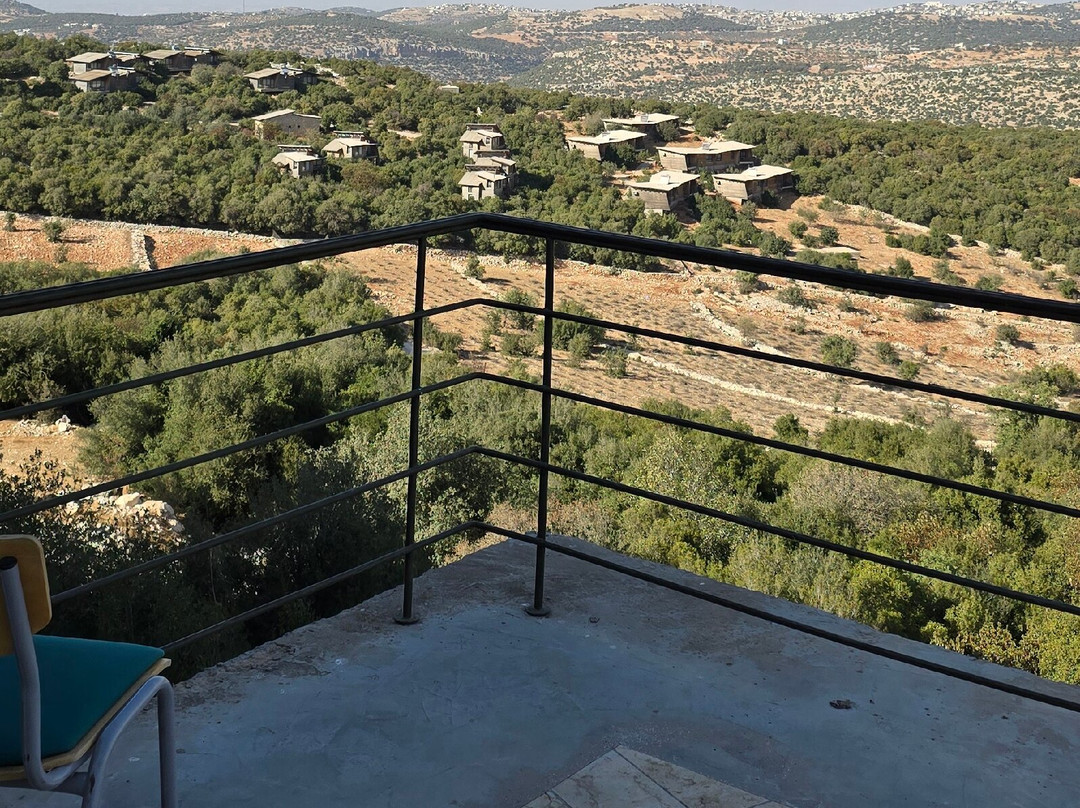 Ajloun Forest Reserve Zipline