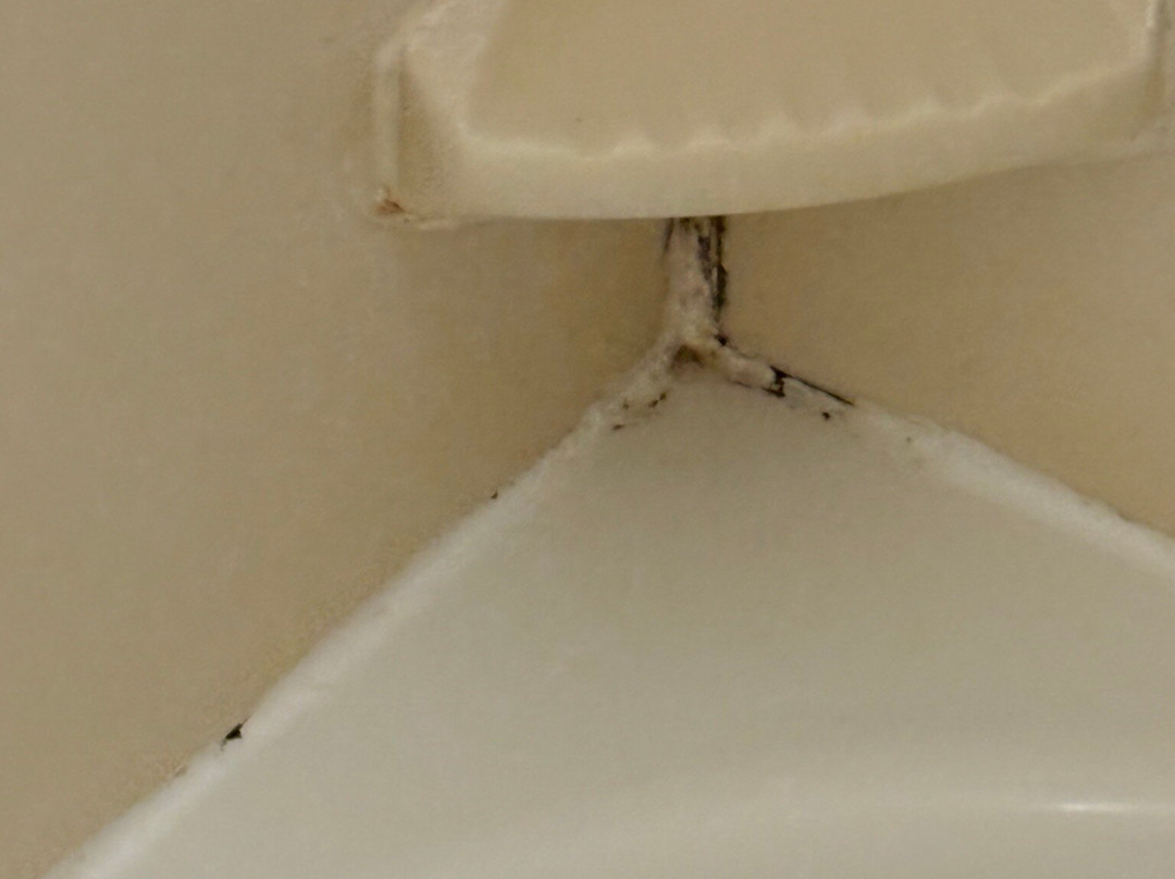 兰辛万怡酒店主图