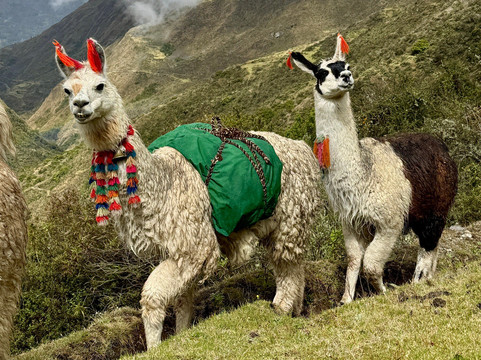 Tierras de los Andes-库斯科必去景点