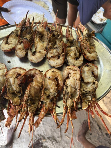 Alfredo Safaris Kenya-马林地必去景点