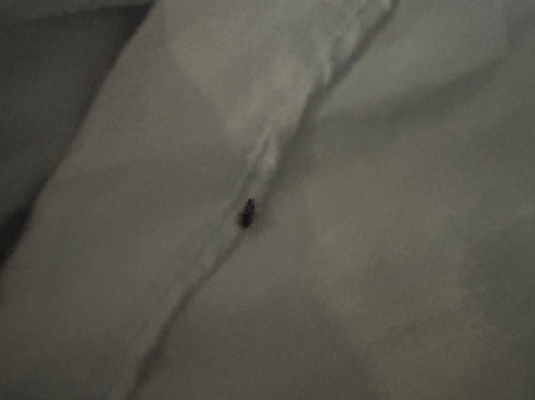 塔拉哈西中心特鲁希尔顿酒店主图