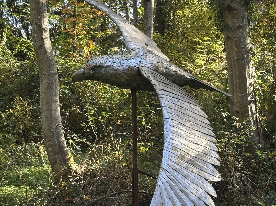 Port Angeles Fine Art Center-安吉利斯港必去景点