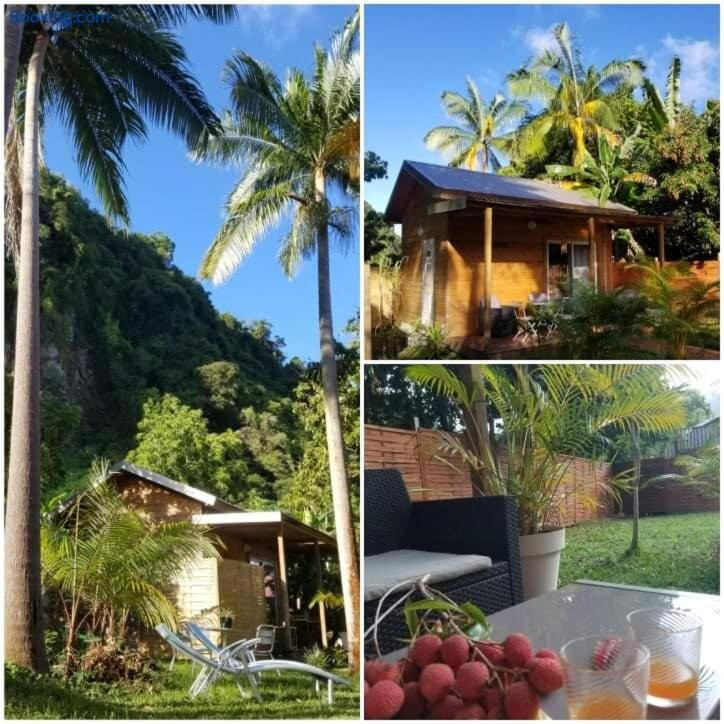 Bunga-lodge Vanille