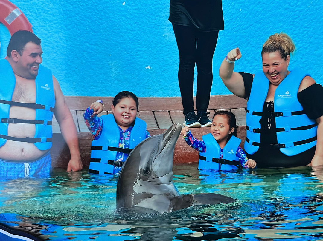 互动式水族馆-坎昆必去景点