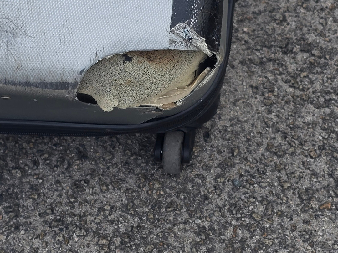 Cat Cocos-维多利亚必去景点