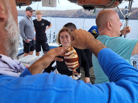 Pepe Boat Fishing Lanzarote-卡拉罗港口必去景点