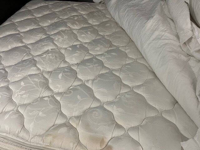 布罗克维尔戴斯酒店主图