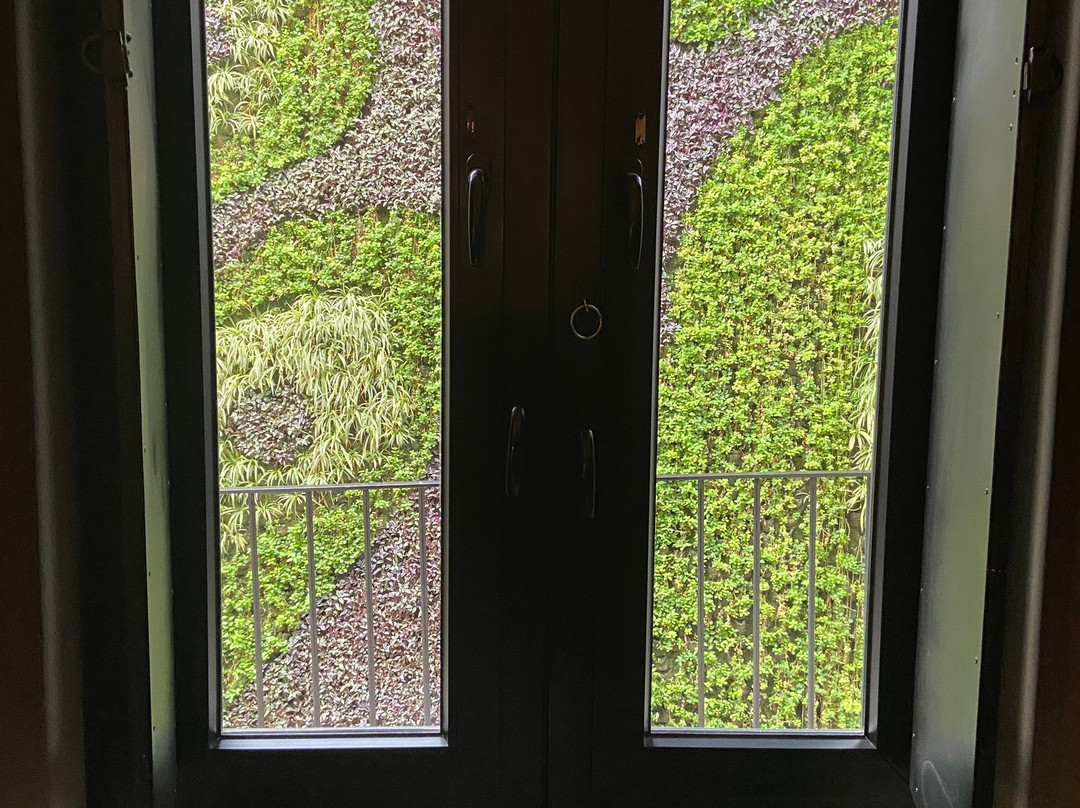 Downtown Mexico A Member Of Design Hotels主图