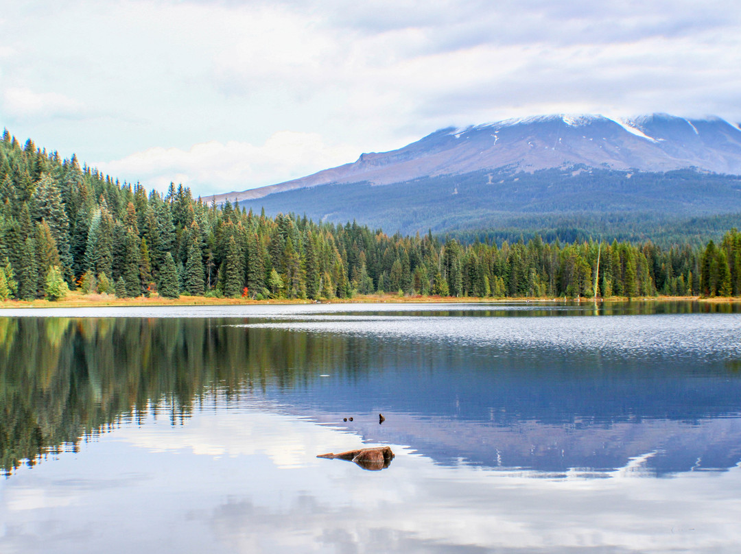延龄草湖-Government Camp必去景点