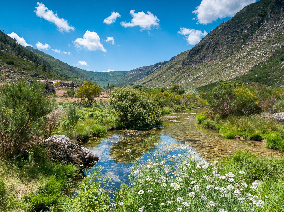 Wildlife Portugal-Guarda必去景点