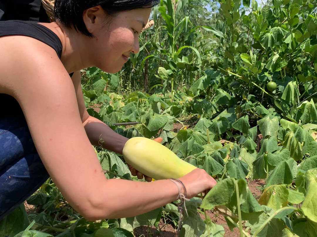 Select Sri Lanka Holidays-卡卢特勒必去景点