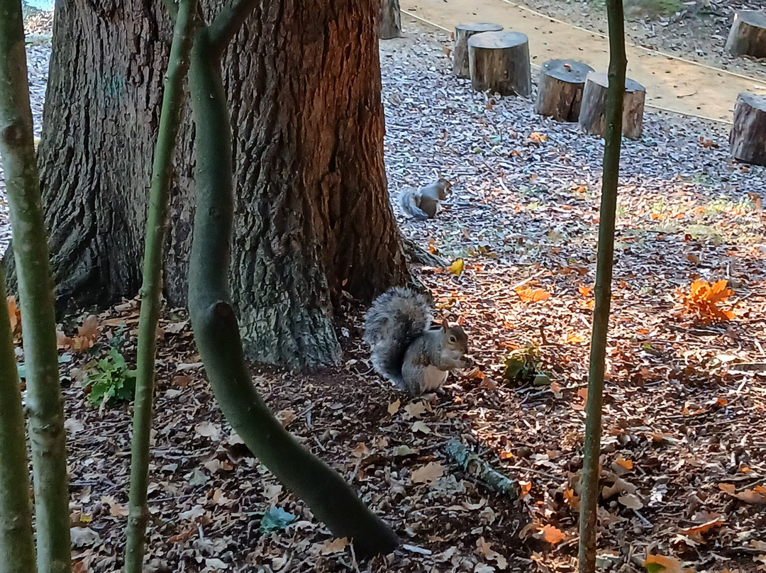 Bhaktivedanta Manor - Hare Krishna Temple-沃特福德必去景点
