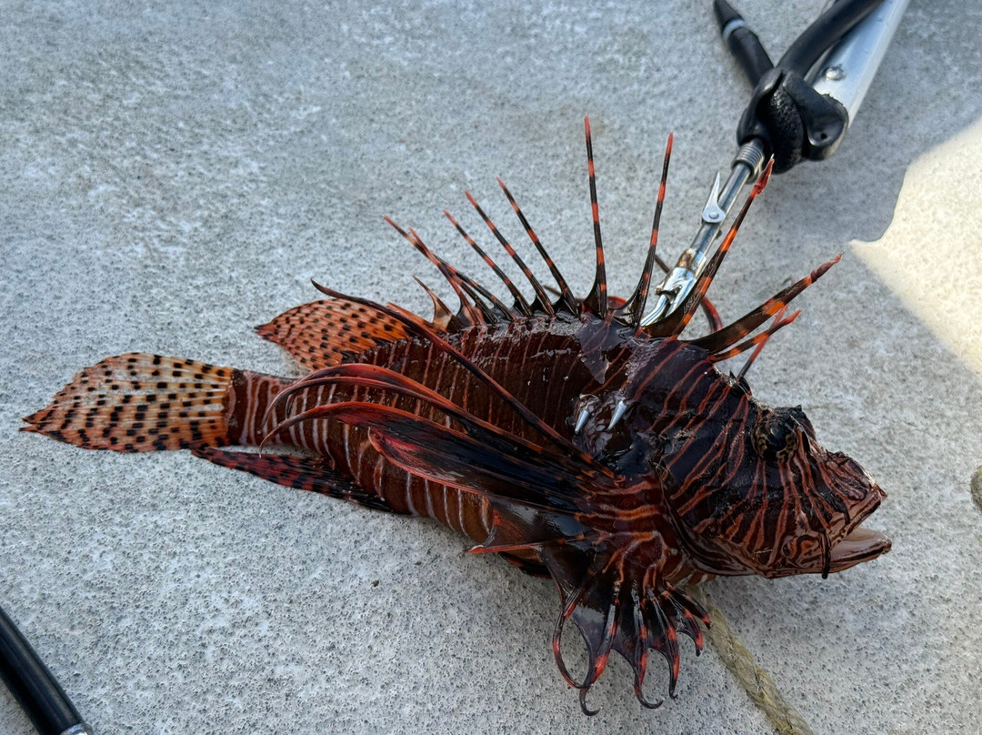 St. Thomas Dive Center-Bolongo Bay必去景点