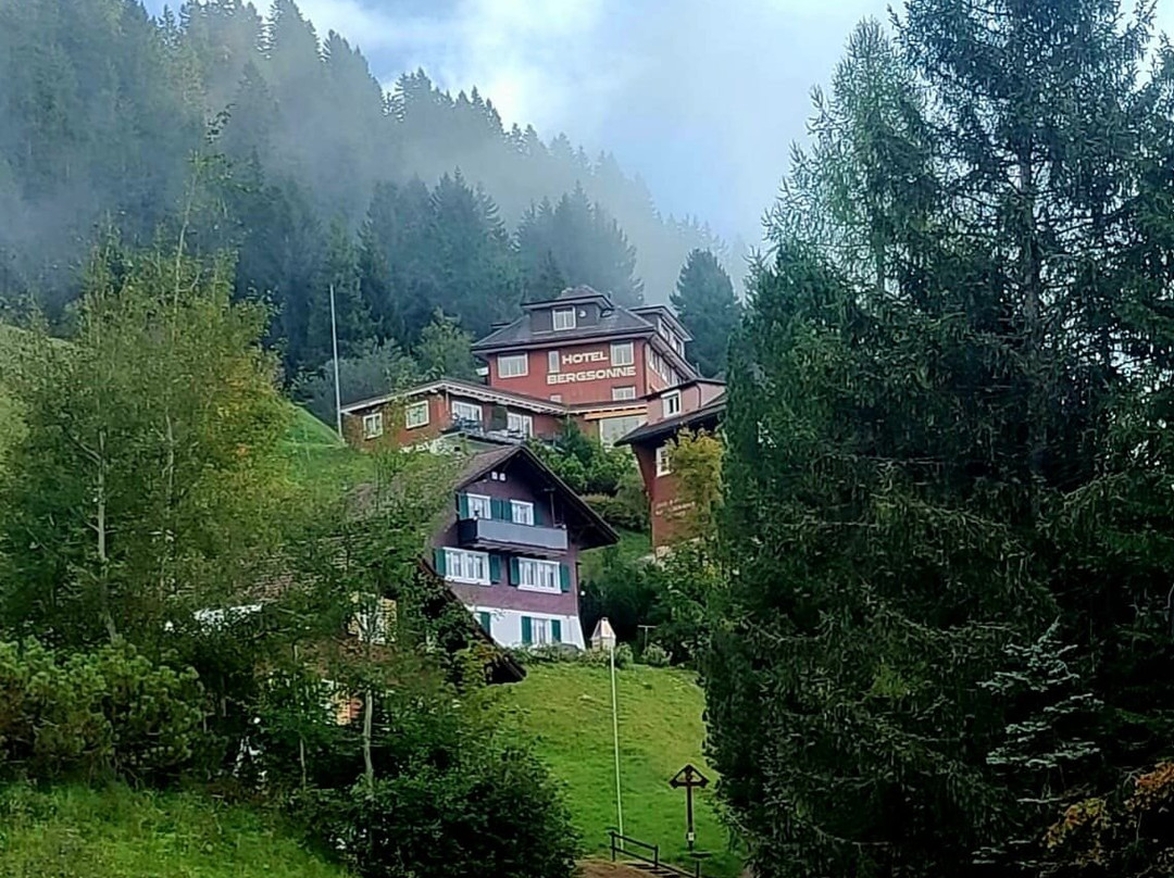 Hotel Bergsonne Rigi主图