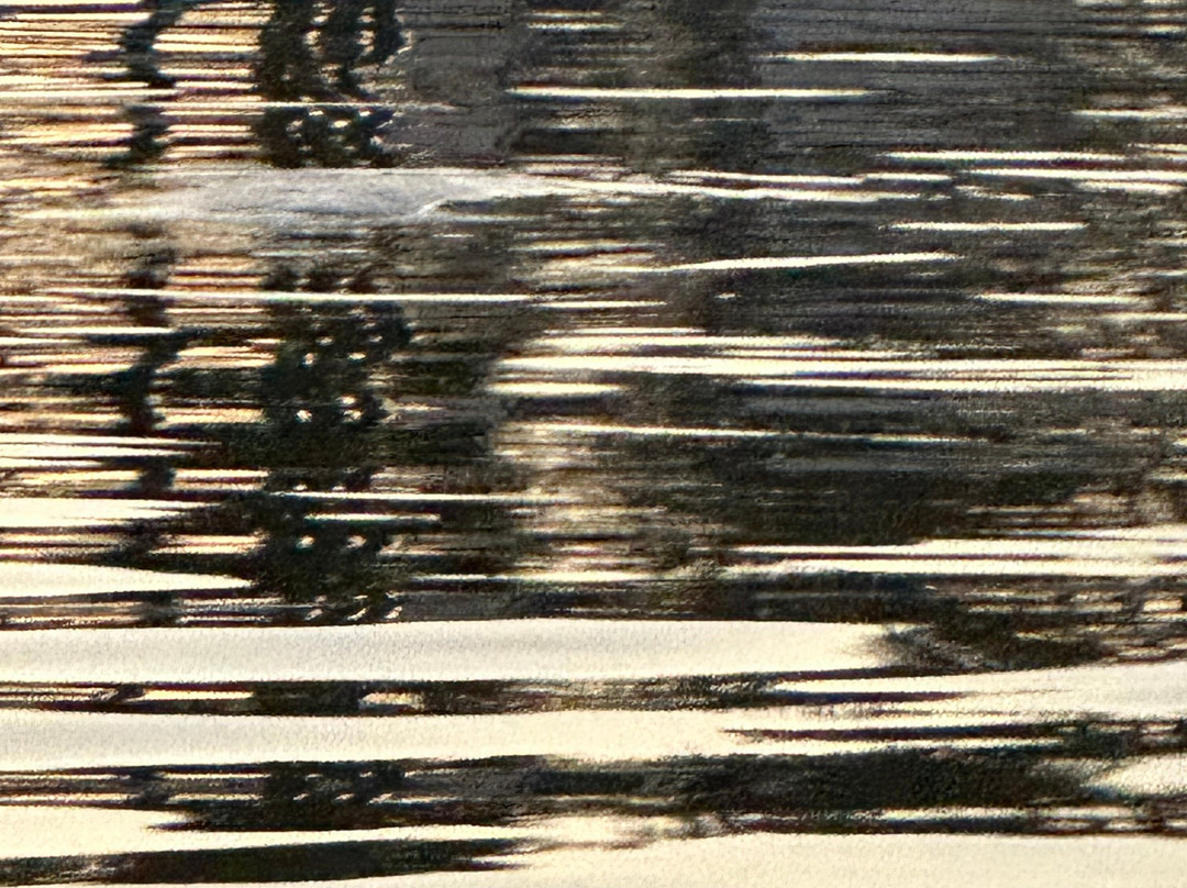 Sea N Things, LLC-Indian Shores必去景点