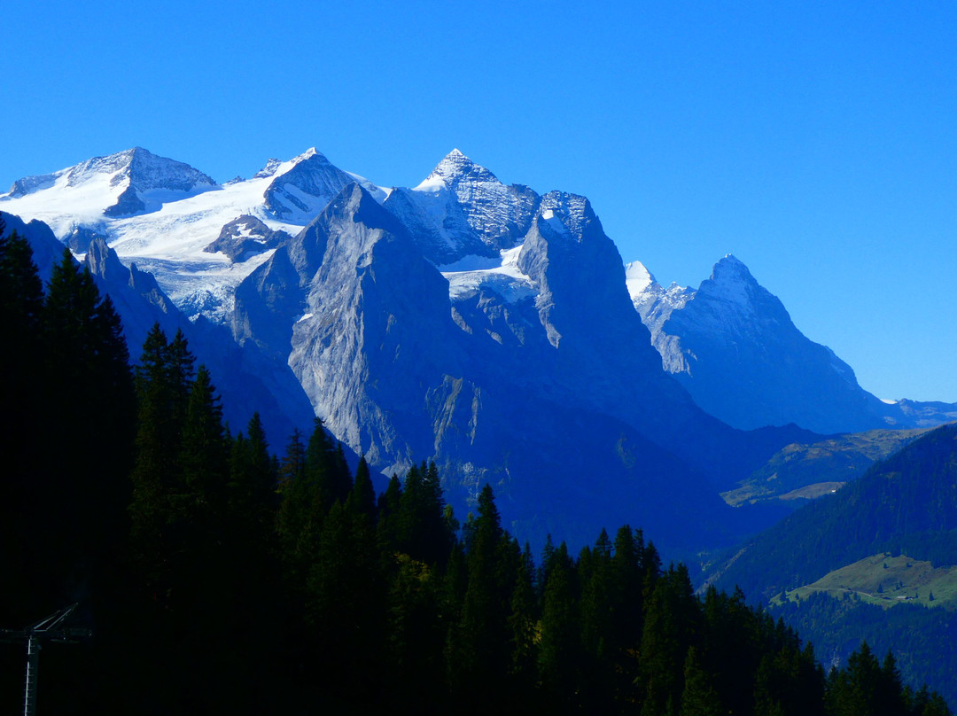 维多利亚酒店主图