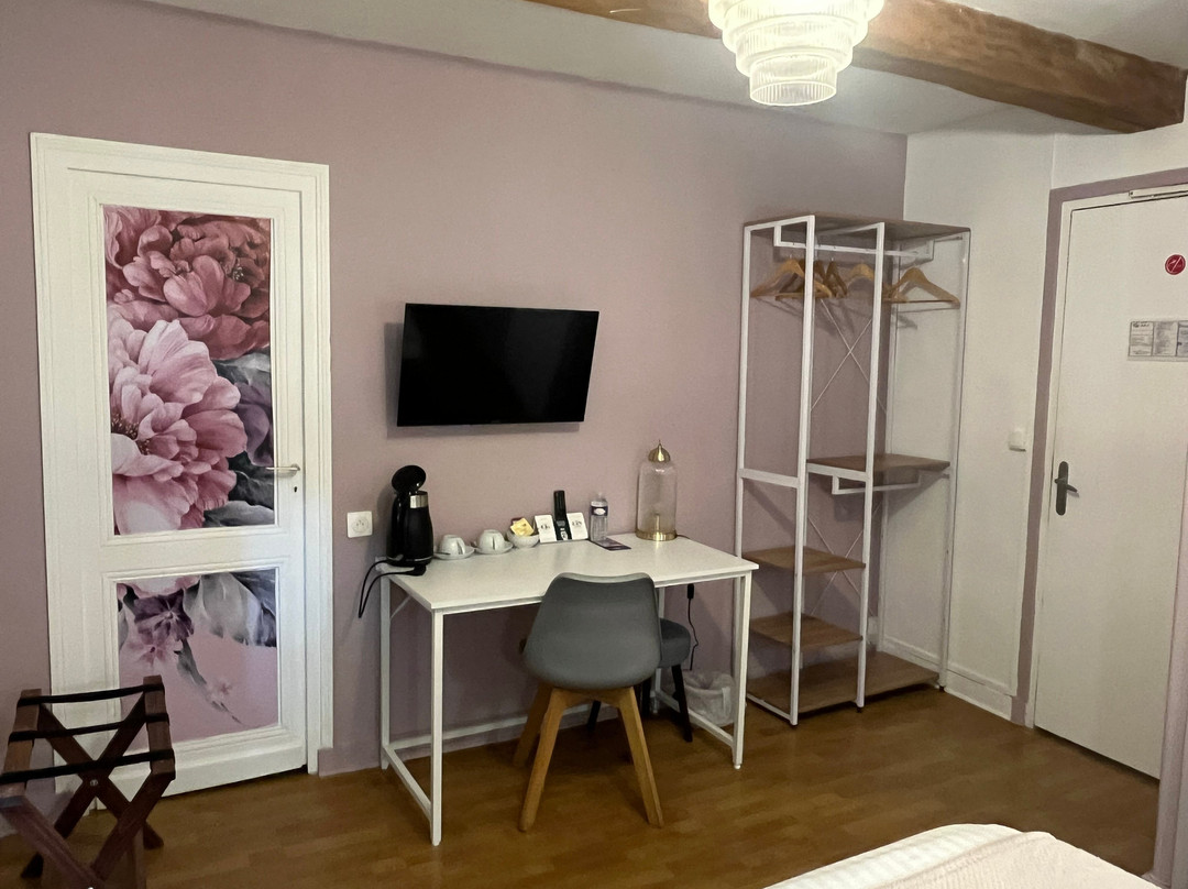 Logis Hôtel le Cygne主图