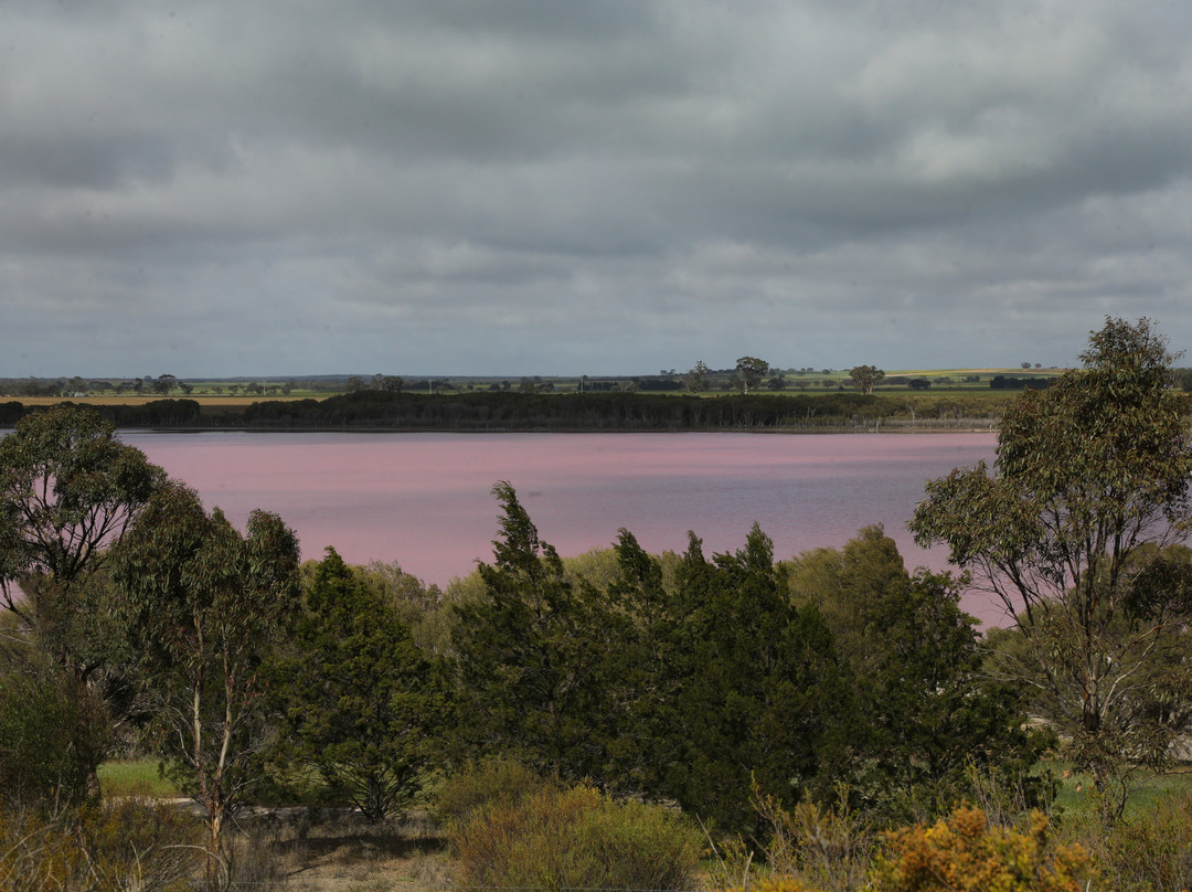 Pink Lake-Dimboola必去景点