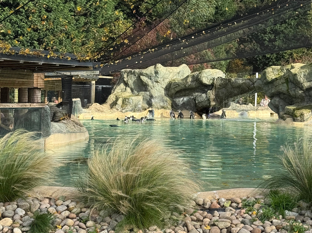 Lotherton-Aberford必去景点