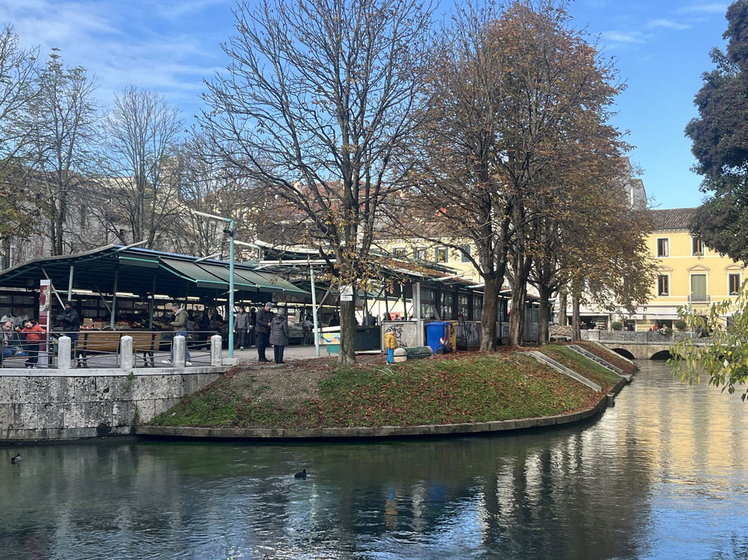 Isola della Pescheria-特雷维索必去景点