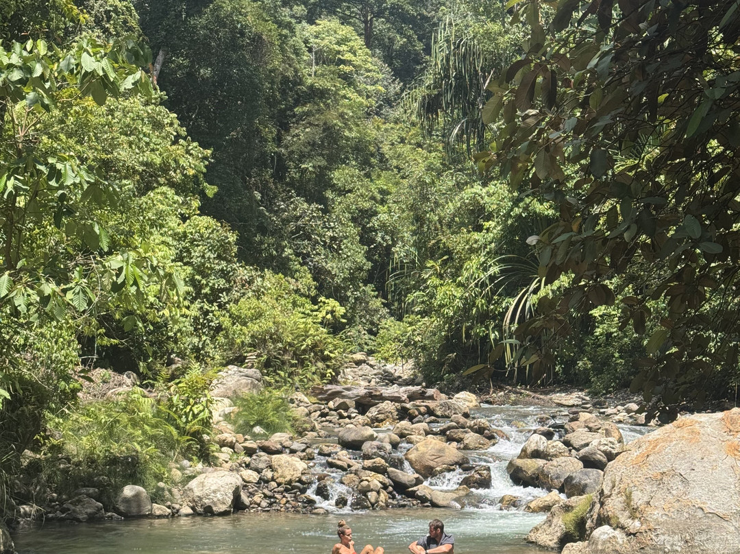 Rudy Ketambe Sumatra Jungle Trekking-Ketambe必去景点