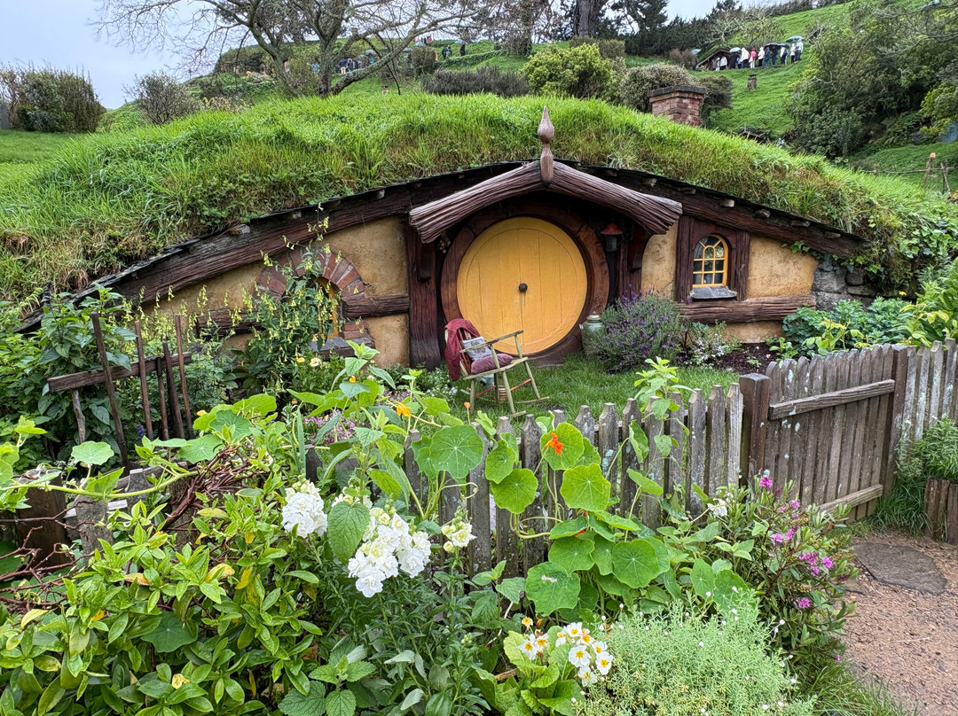 Red Carpet Tours-奥克兰中心地区必去景点