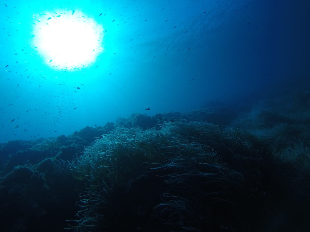 Mister Jump Diving Ustica-Ustica必去景点