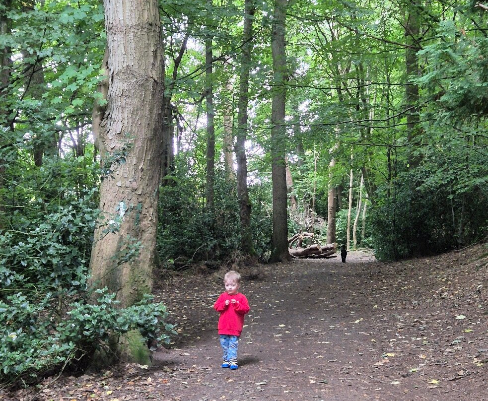 Gala Policies Community Woodland-Galashiels必去景点