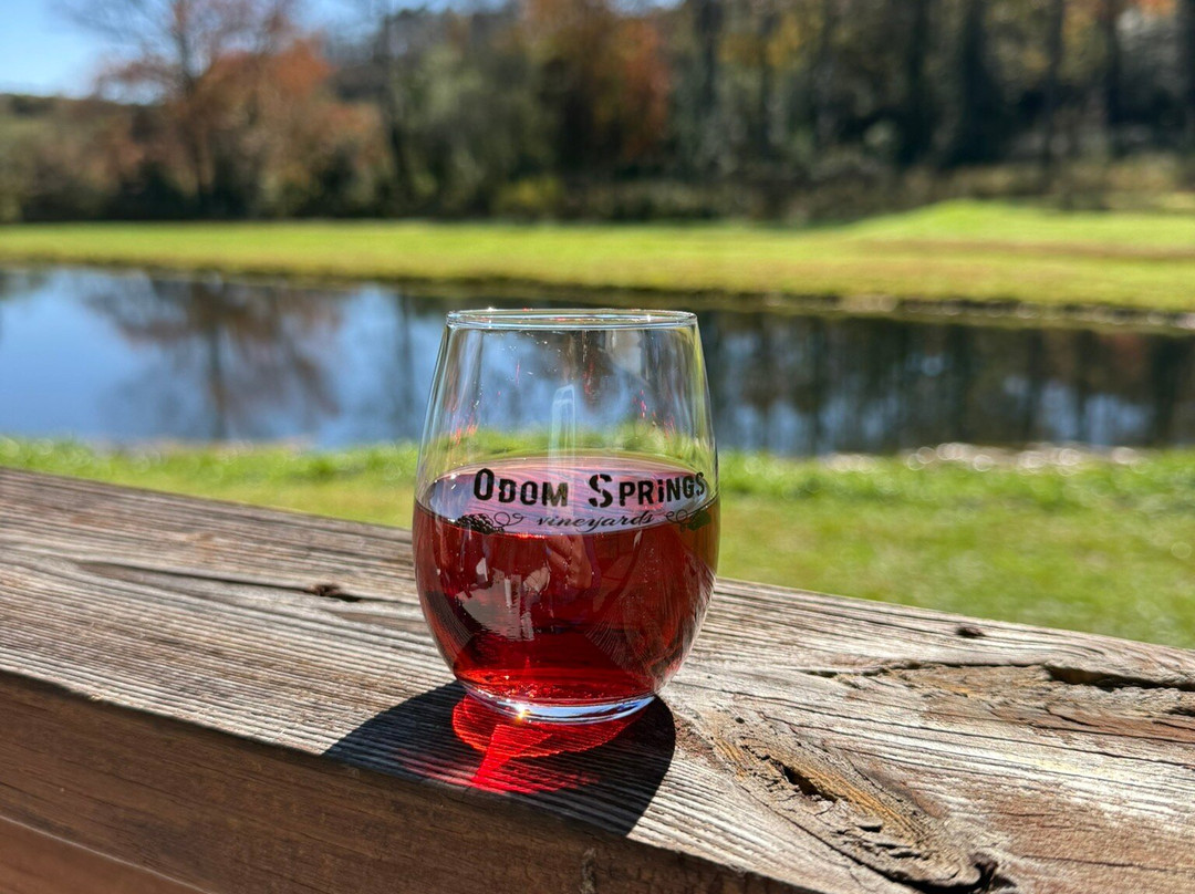 Odom Springs Vineyards-Blairsville必去景点