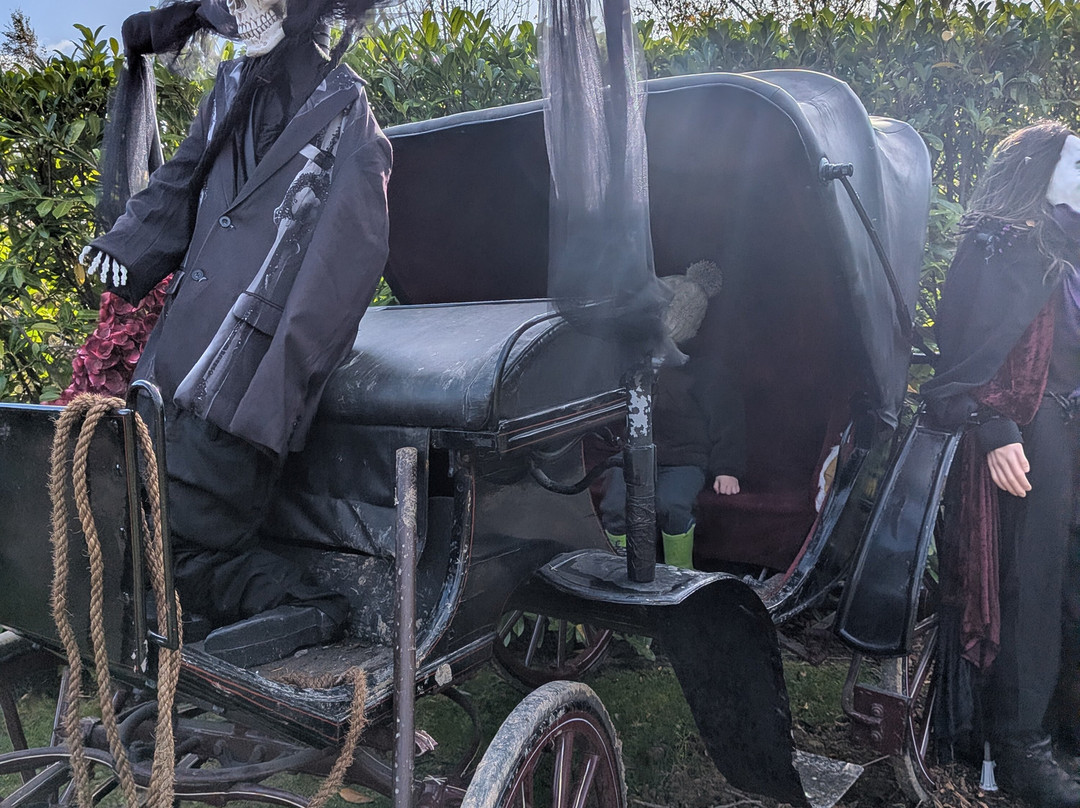 Montalto Estate-Ballynahinch必去景点