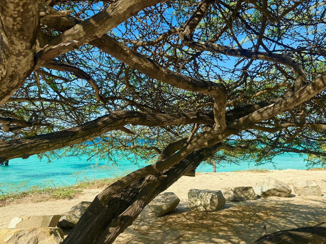 Mangel Halto Beach-萨瓦内塔必去景点
