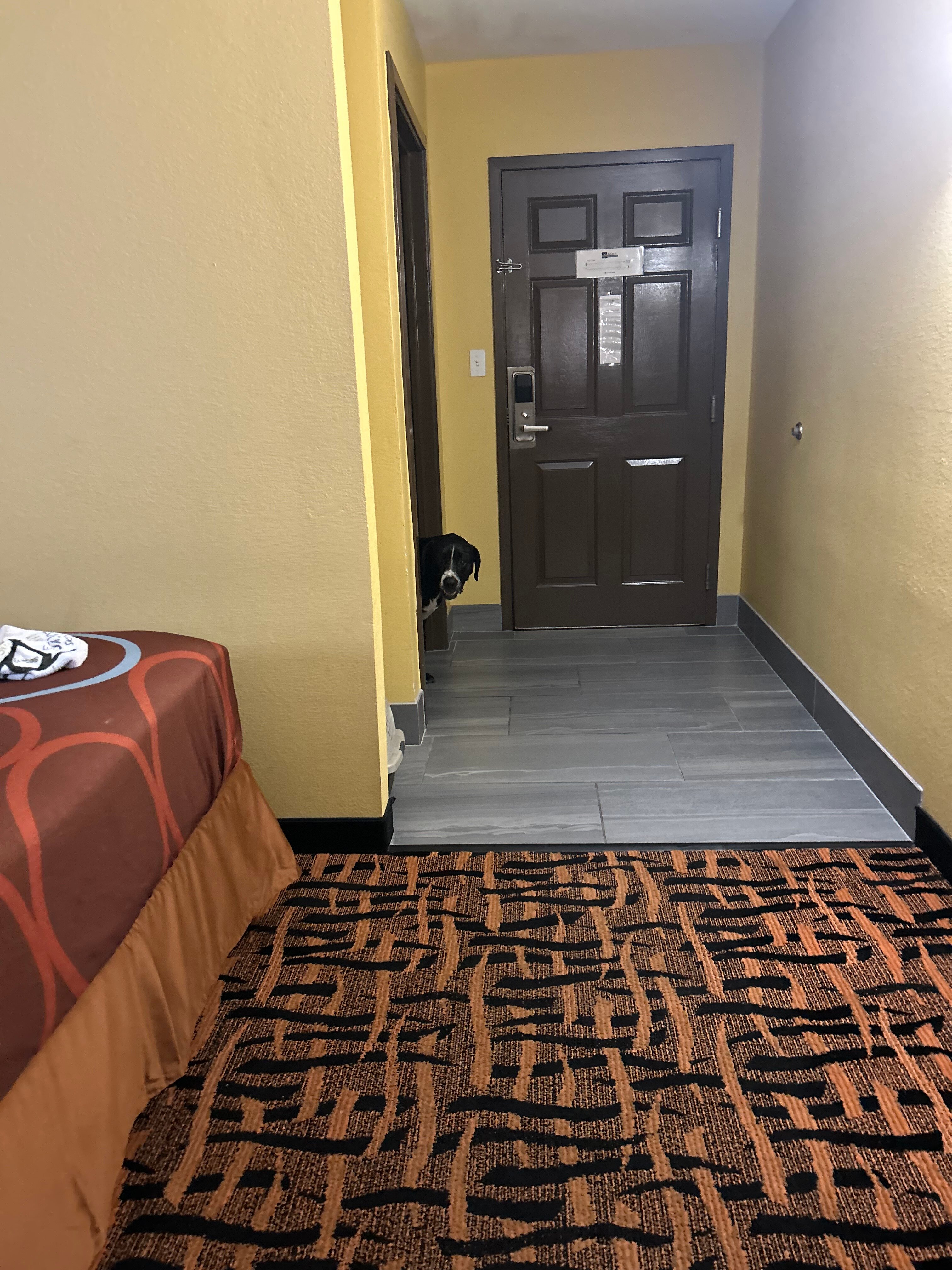 Hampton Inn Olive Branch-官方