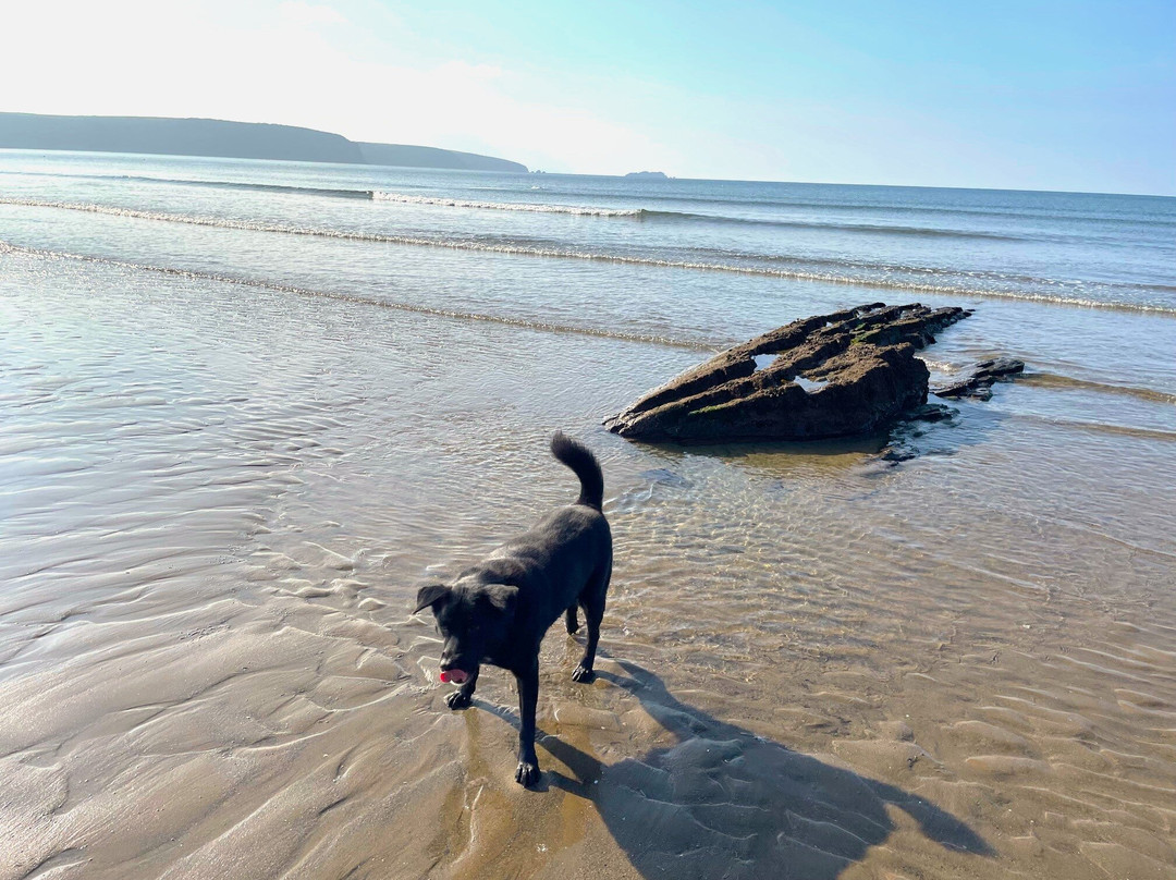 Broad Haven Beach-Broad Haven必去景点