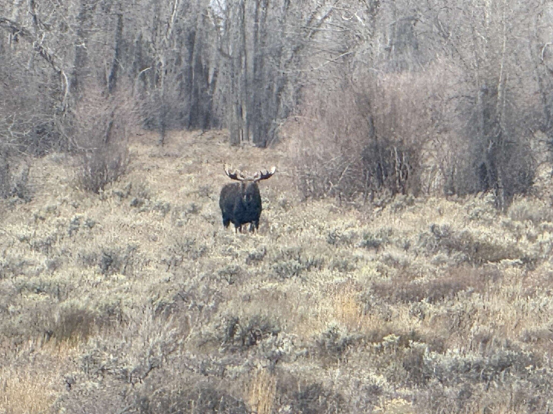 Taggart Lake-大提顿国家公园必去景点