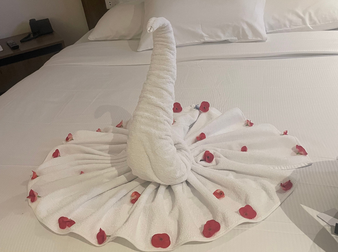 Pickalbatros Laguna Club Resort主图