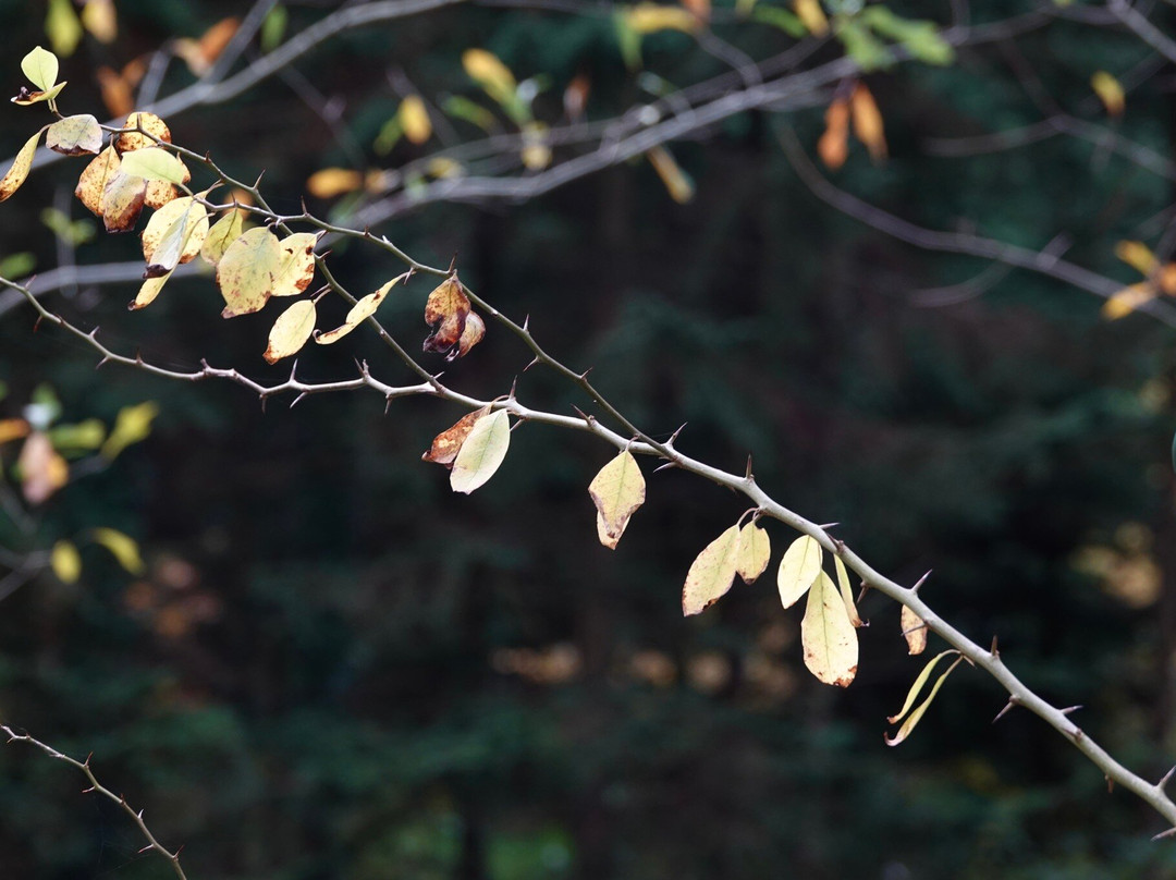 Landgoed Schovenhorst-Putten必去景点