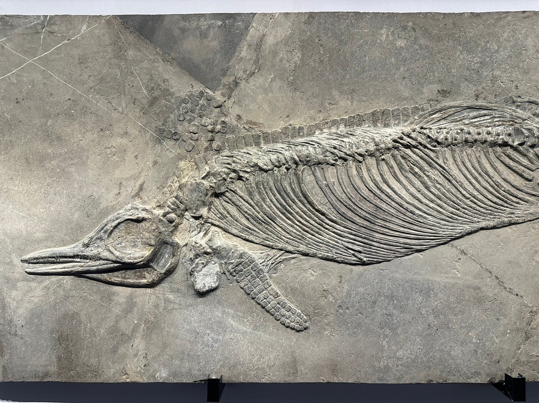 安顺地区博物馆-安顺市必去景点