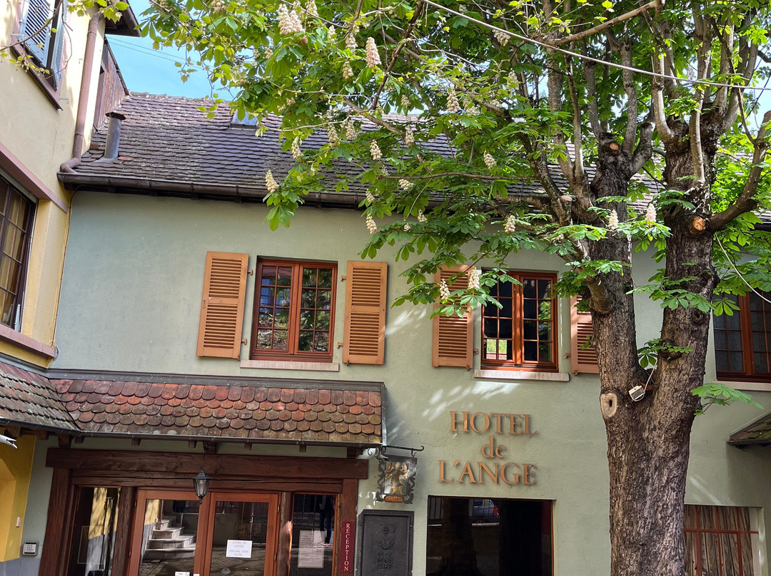 Niedermorschwihr Old Town-下莫施威尔必去景点