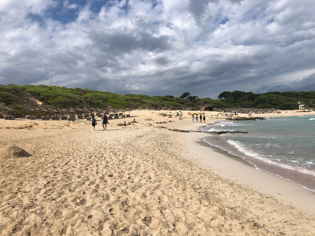 Cala Agulla-Cala Ratjada必去景点