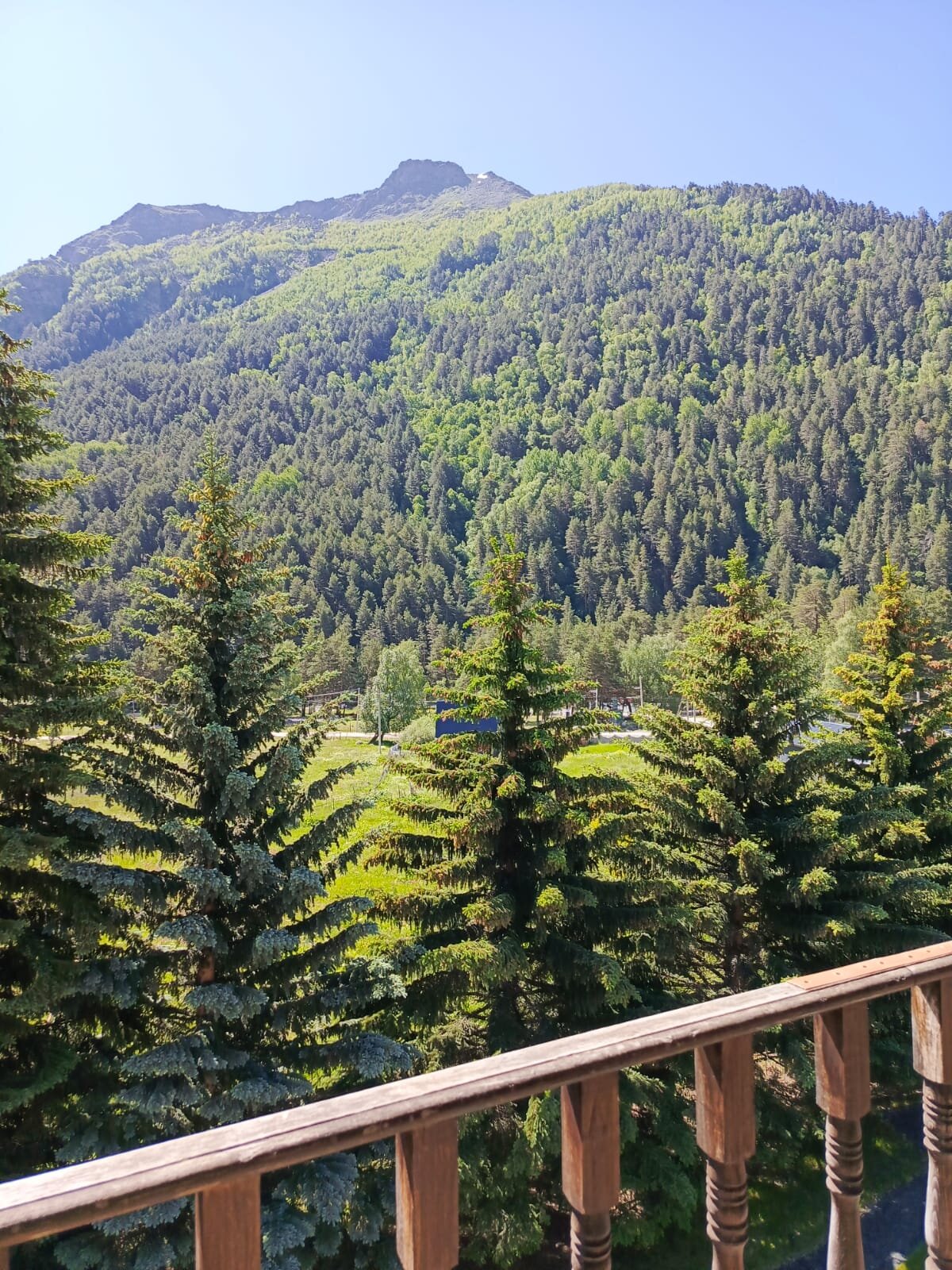 Hotel Yusengi-官方