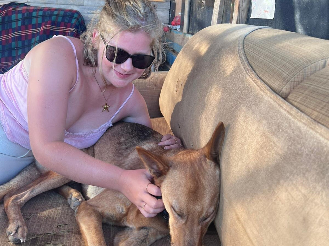 Tenerife Animal Sanctuary-圣克鲁斯-德特内里费必去景点